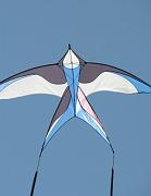 31- Oiseau - Jean-Christophe Labrouche w